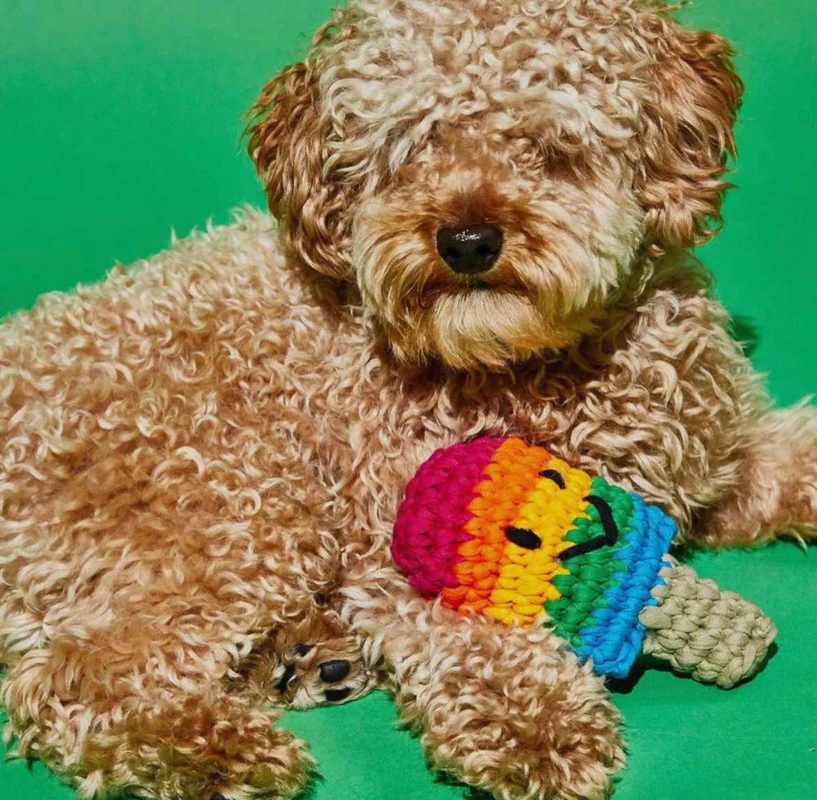 Crochet Popsicle
