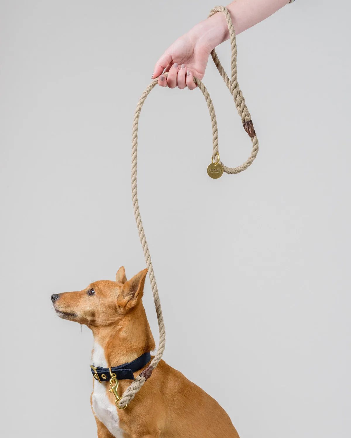 Sand Brown Recycled Rope Dog Leash